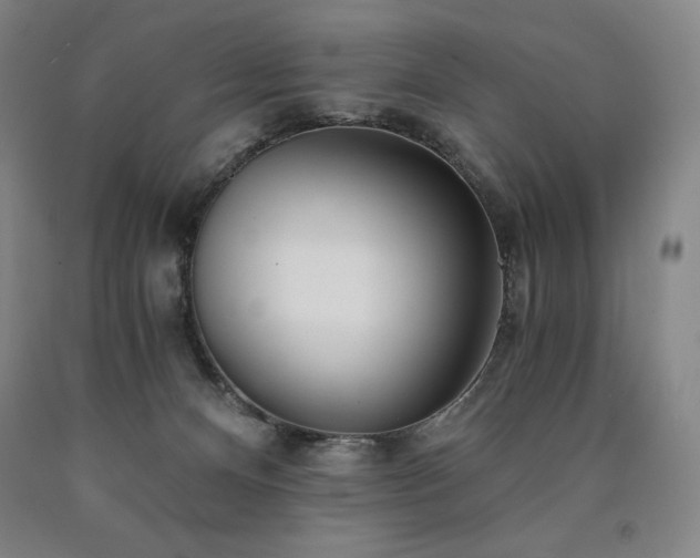 X0000090920128200707301541