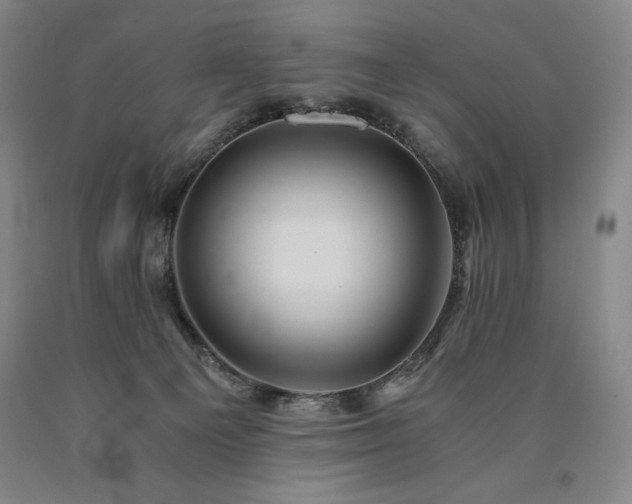 X0000090920129200707301541