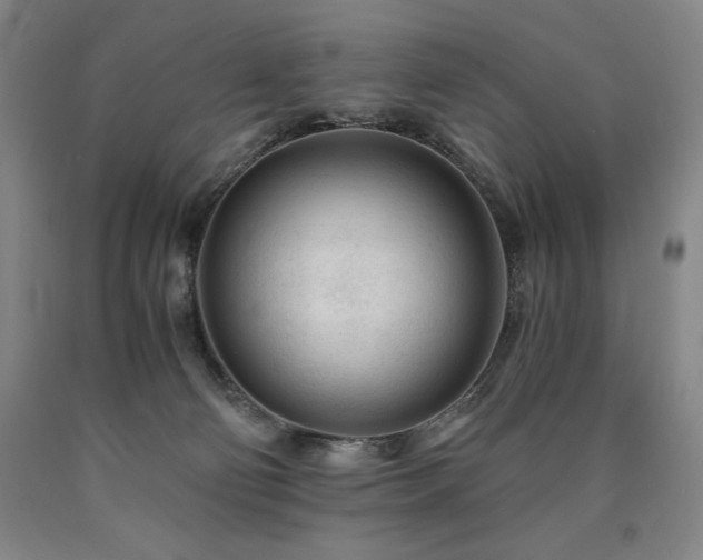 X0000090920130200707301541