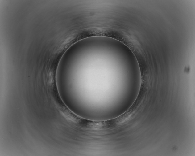 X0000090920131200707301541