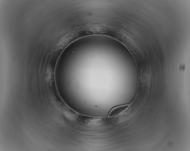 X0000090920132200707301541