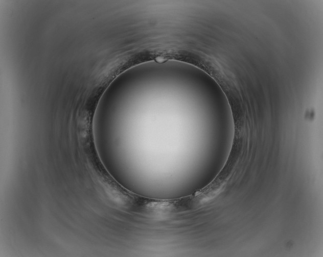 X0000090920133200707301541