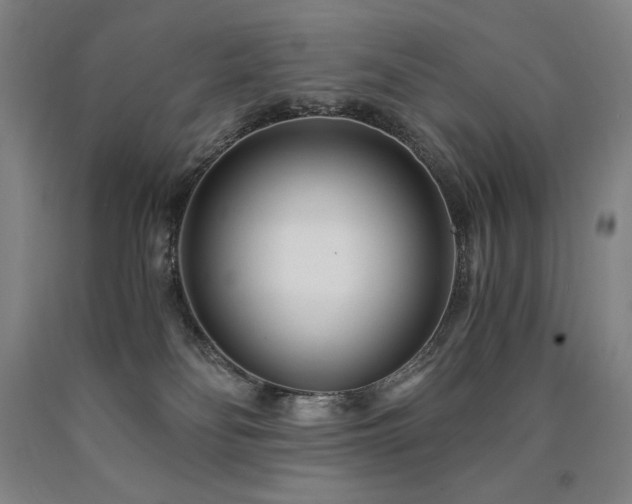 X0000090920134200707301541