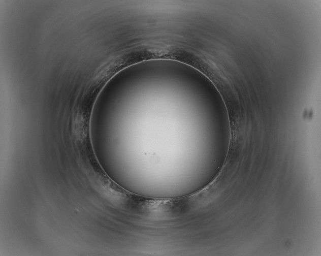 X0000090920136200707301541
