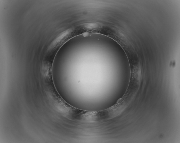 X0000090920138200707301541