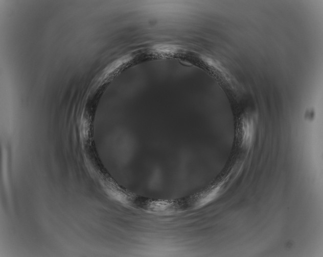 X0000090920139200707301541