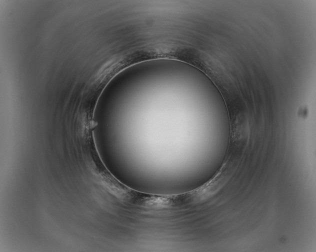 X0000090920140200707301541