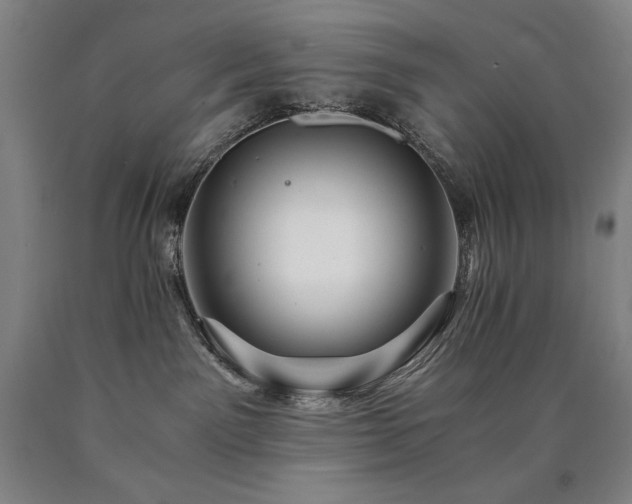 X0000090920141200707301541