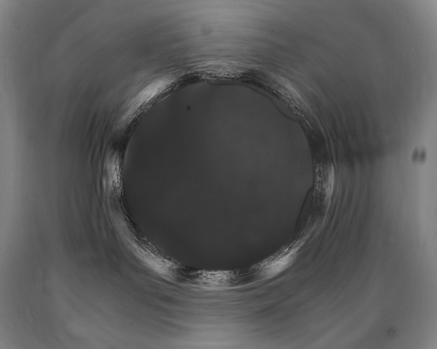 X0000090920143200707301540