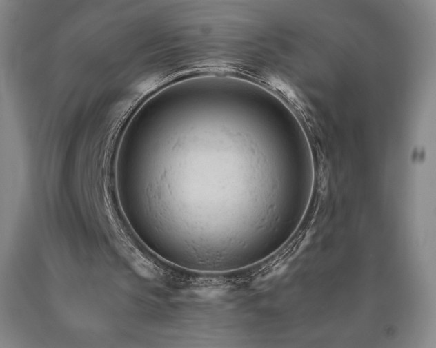 X0000090920145200707301540