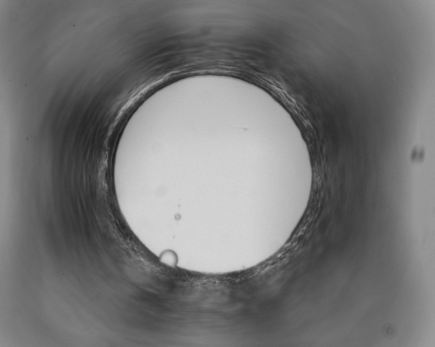 X0000090920146200707301540
