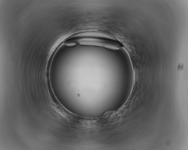 X0000090920147200707301540