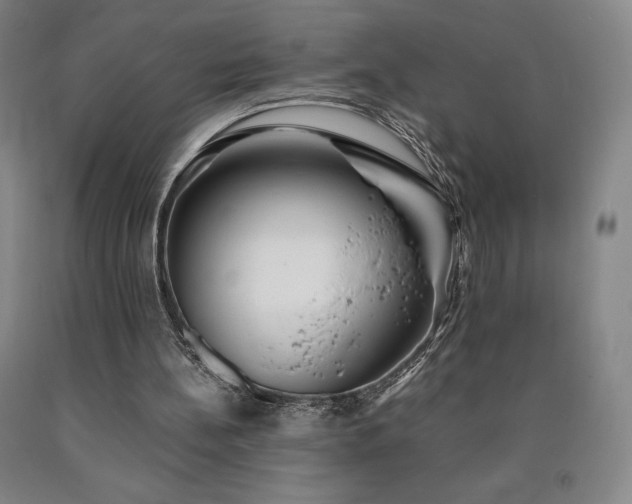 X0000090920148200707301540