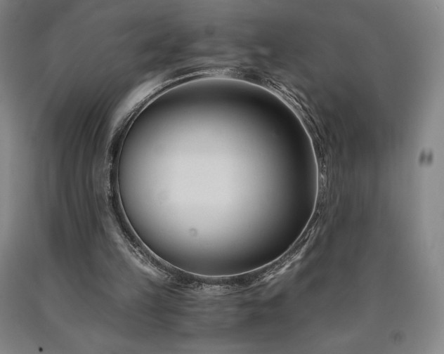 X0000090920149200707301540