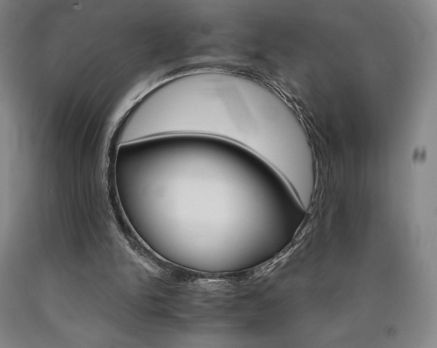 X0000090920150200707301540