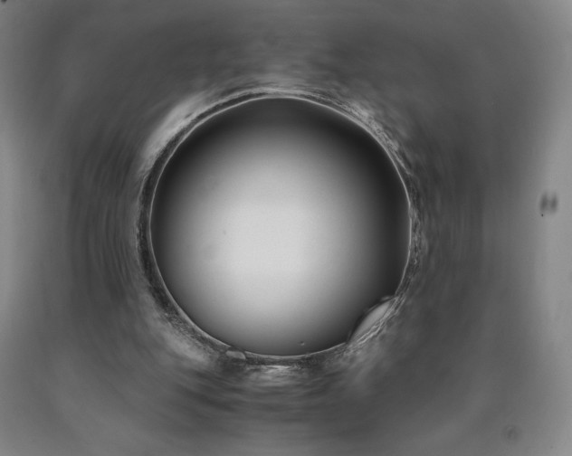 X0000090920151200707301540