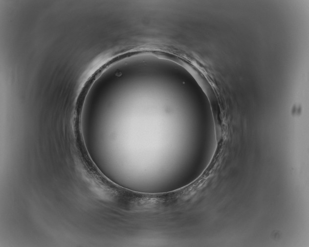 X0000090920152200707301540