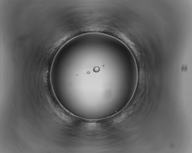 X0000090920153200707301540