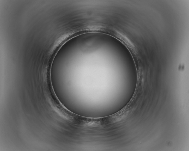 X0000090920155200707301540