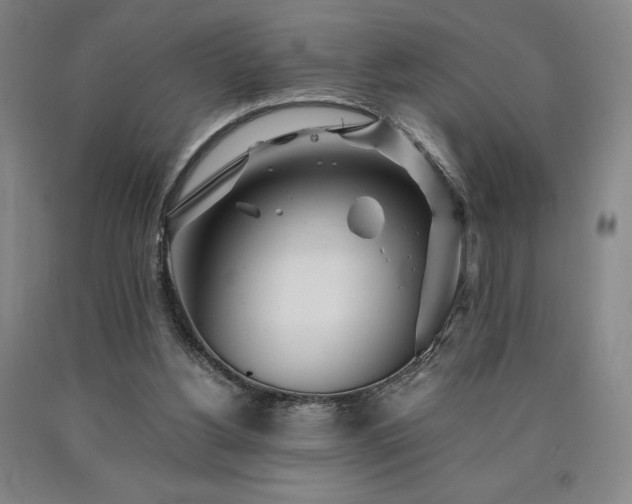 X0000090920156200707301540
