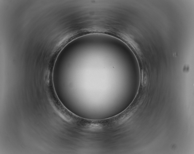 X0000090920157200707301540