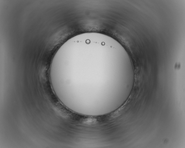X0000090920162200707301540
