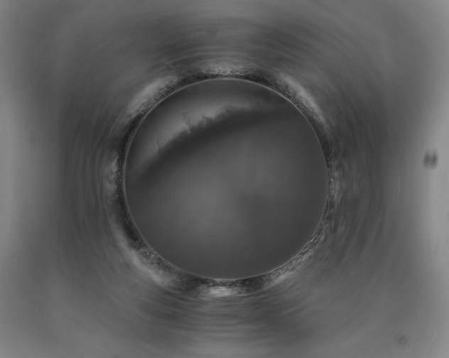 X0000090920163200707301540
