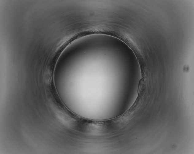 X0000090920164200707301540