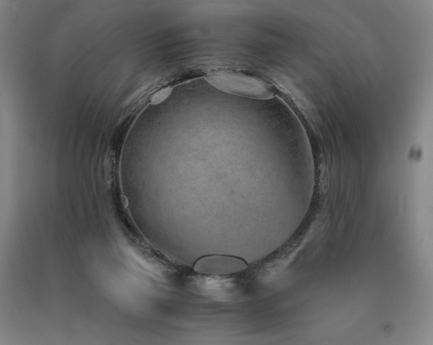 X0000090920165200707301540