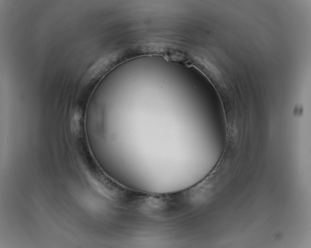 X0000090920166200707301540