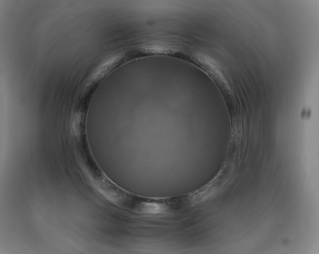 X0000090920167200707301540