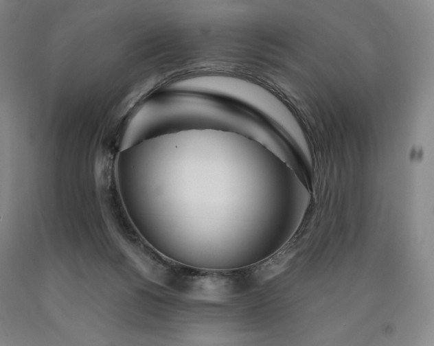 X0000090920168200707301540
