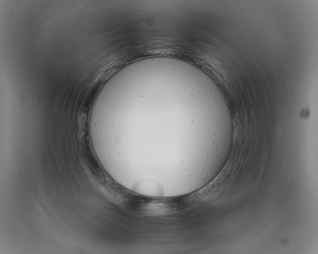 X0000090920171200707301540