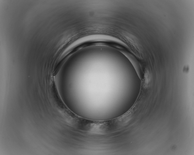X0000090920172200707301540