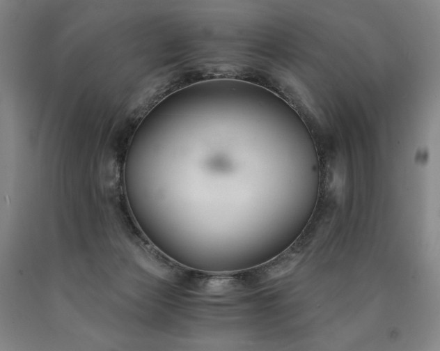 X0000090920173200707301540