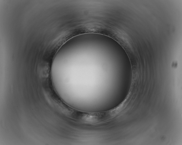 X0000090920174200707301540