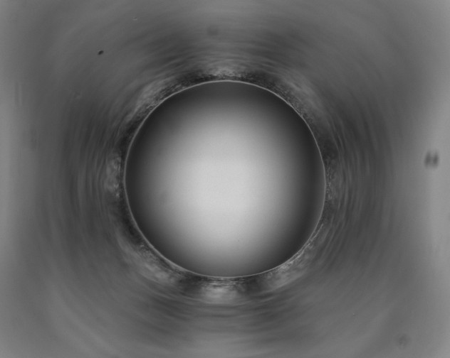 X0000090920175200707301540