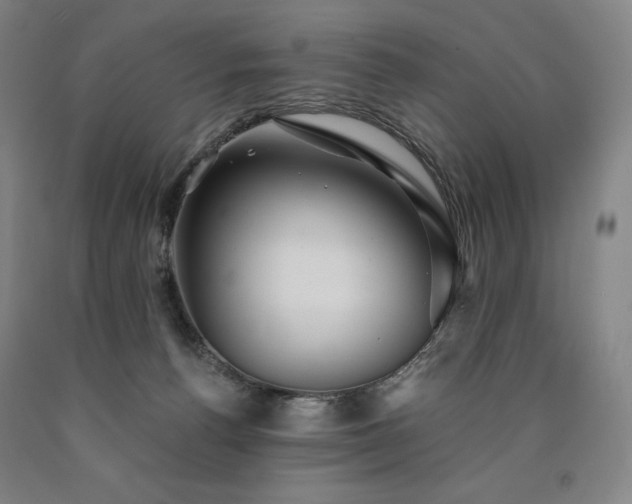 X0000090920176200707301540