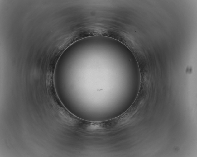 X0000090920177200707301540