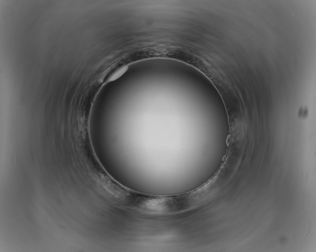 X0000090920178200707301540