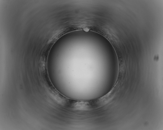 X0000090920179200707301540
