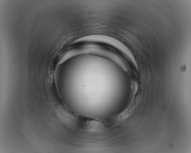 X0000090920180200707301540