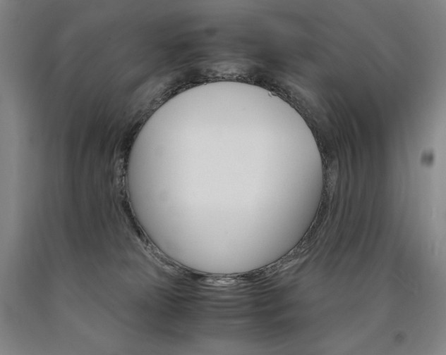 X0000090920181200707301540