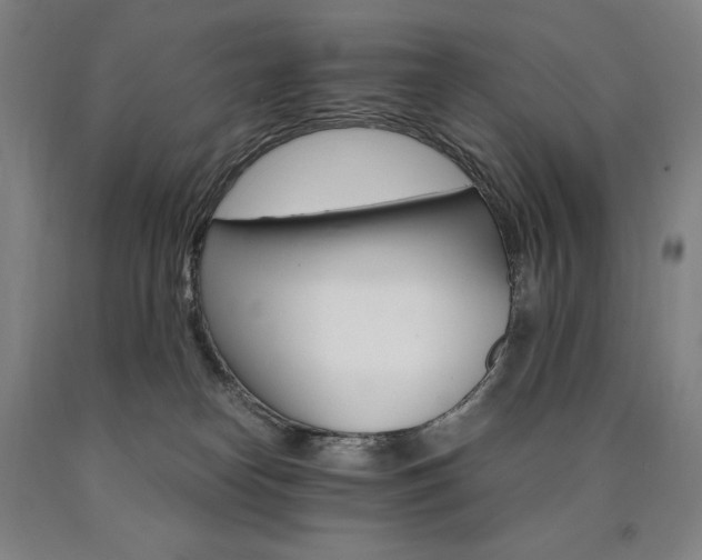X0000090920182200707301540