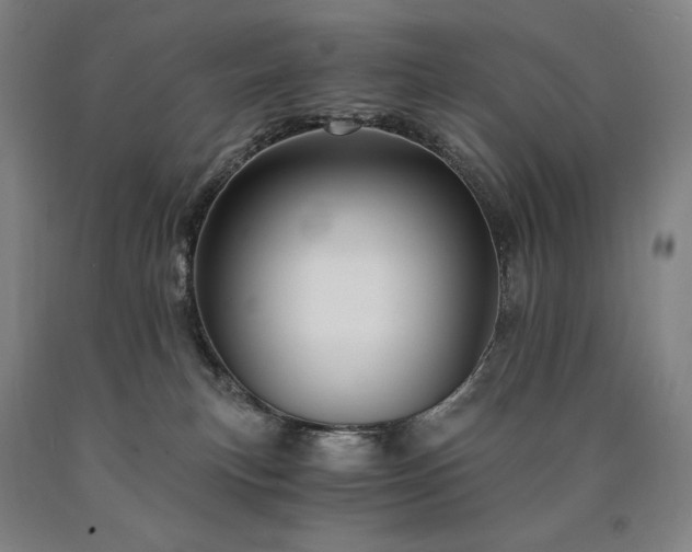 X0000090920183200707301540