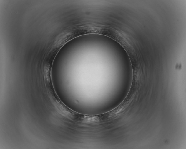 X0000090920185200707301540