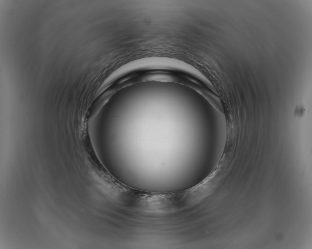 X0000090920186200707301540