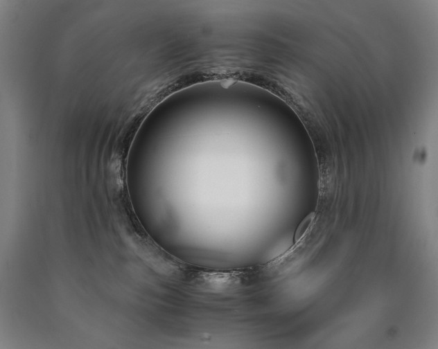 X0000090920187200707301540