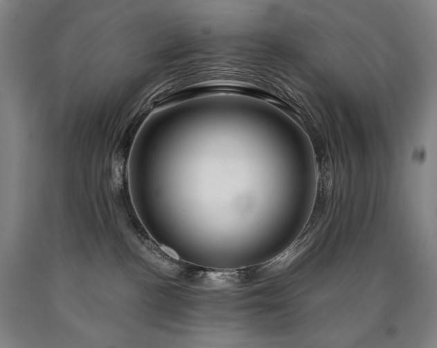 X0000090920188200707301540
