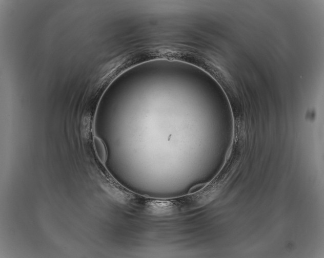 X0000090920189200707301540